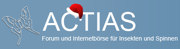 ACTIAS Forum & marketplace for insects & spiders
