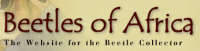Beetles of Africa