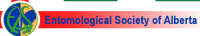 Entomological Society of Alberta