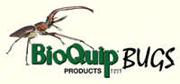 Insects supplier