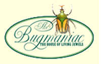 One of the world 's largest  insect supplier , trader of fine quality