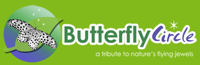 BUTTERFLY CIRCLE FORUM