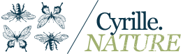 cyrille nature