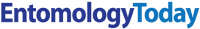 The latest News about Entomology