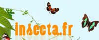 GERALD PELISSIE ENTOMOLOGY