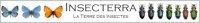 LA TERRE DES INSECTES