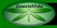 Insect collecting supplies