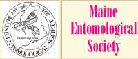 Maine Entomological Society