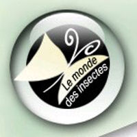 LE MONDE DES INSECTES FORUM