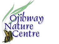 Ojibway insects