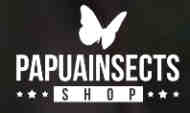 Papua Insects Shop