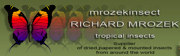 Richard Mrozek Tropical insects supplier