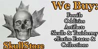 Skull Store