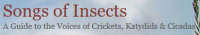 A Guide to the Voices of Crickets, Katydids & Cicadas