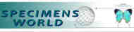 Specimens World