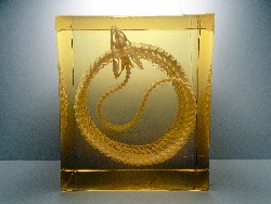 Animal skeleton