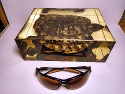 trachemys_18.jpg (212980 bytes)